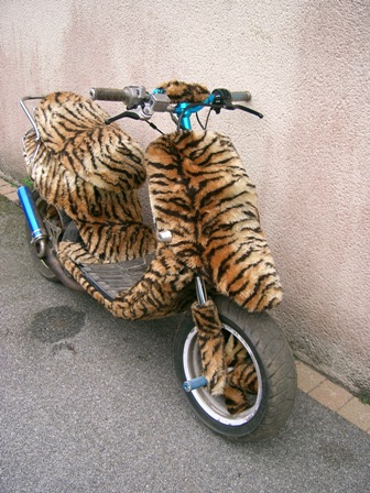 Leopard